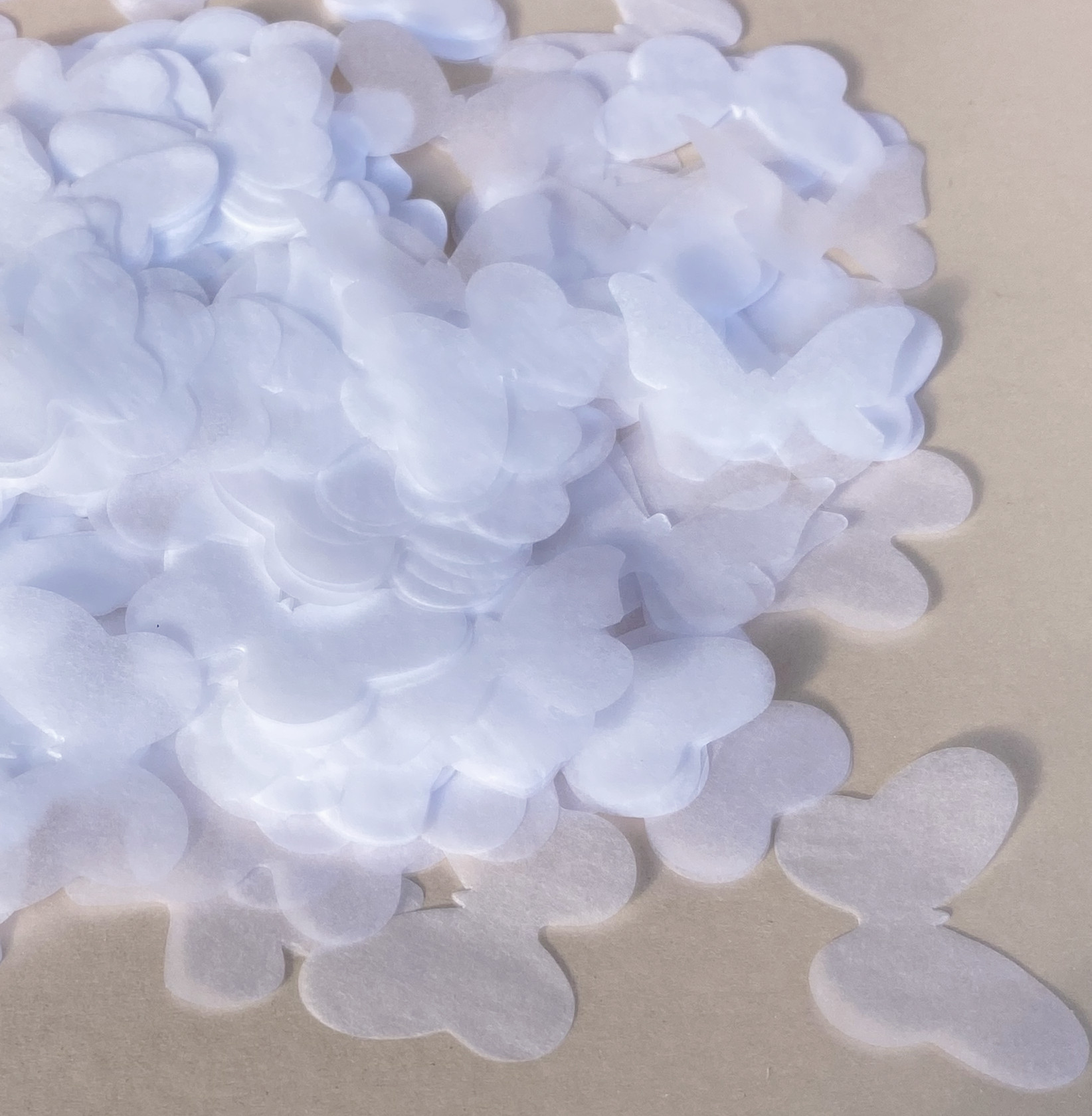 Wedding Biodegradable Paper Wh - Confetti Cannon Tube ulasan dan harga